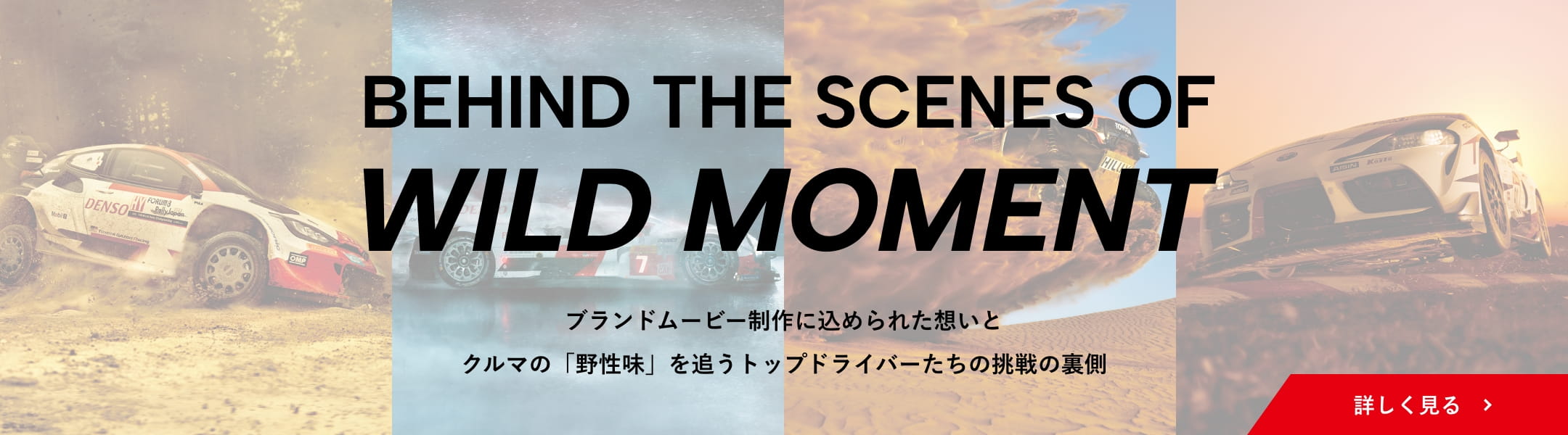 BEHIND THE SCENES OF WILD MOMENT