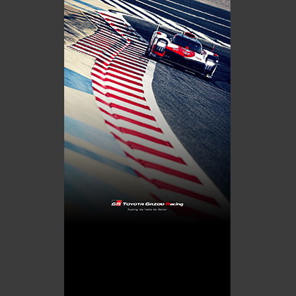 WEC 2021 ROUND 6 8 HOURS OF BAHRAIN