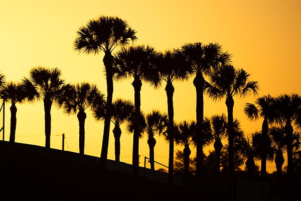 WEC 2022 PROLOGUE SEBRING