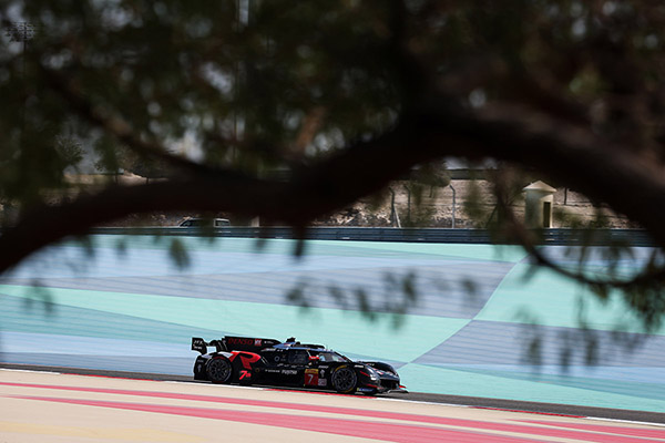 WEC 2025 8 Hours of Bahrain