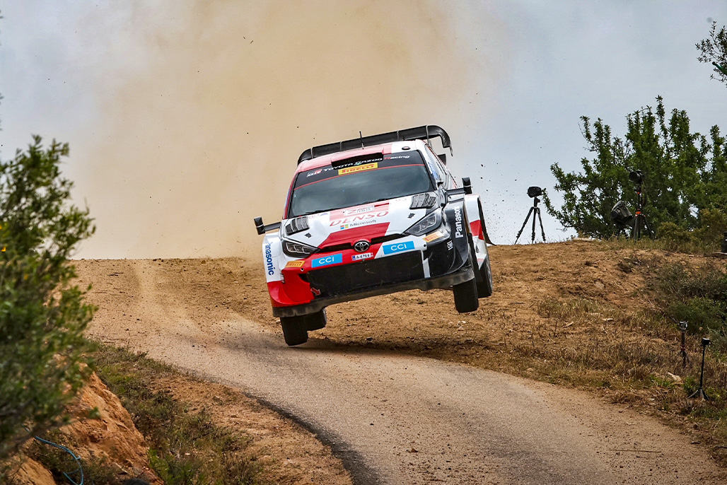 Car 17 (Sébastien Ogier, Vincent Landais)