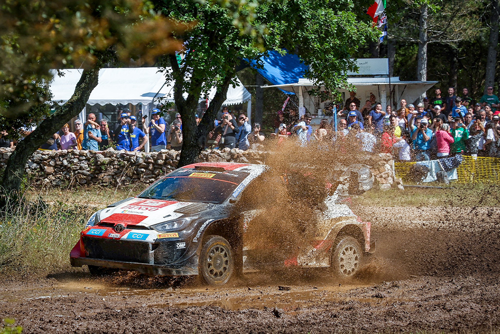 Car 17 (Sébastien Ogier, Vincent Landais)