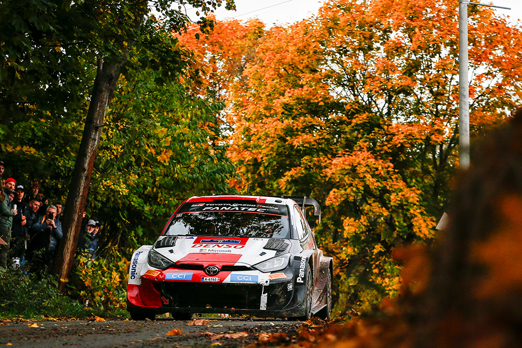 Car 17 (Sébastien Ogier, Vincent Landais)