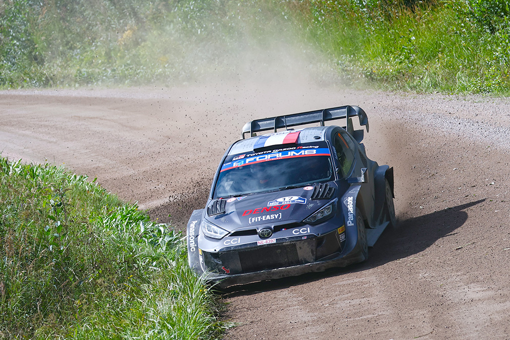 Car 17 (Sébastien Ogier, Vincent Landais)