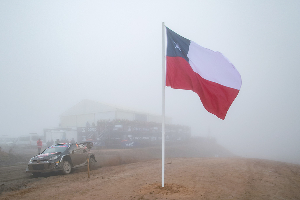 Car 17 (Sébastien Ogier, Vincent Landais)