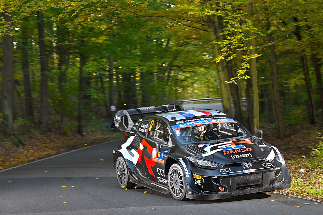 Car 17 (Sébastien Ogier, Vincent Landais)