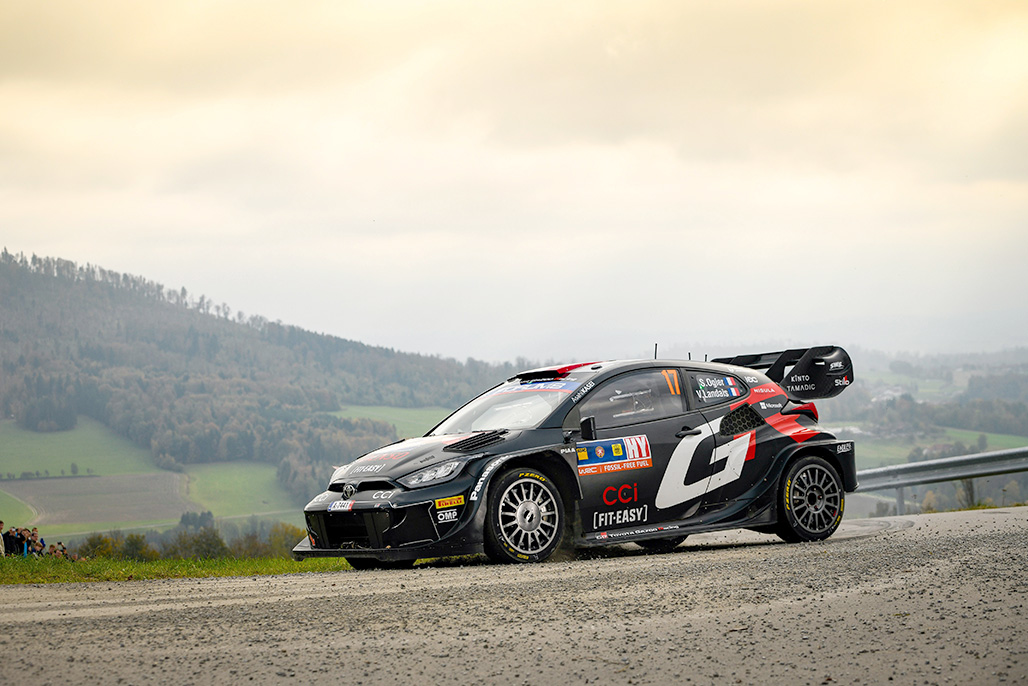 Car 17 (Sébastien Ogier, Vincent Landais)