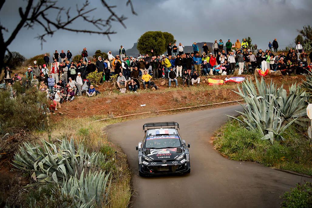 Car 17 (Sébastien Ogier, Vincent Landais)