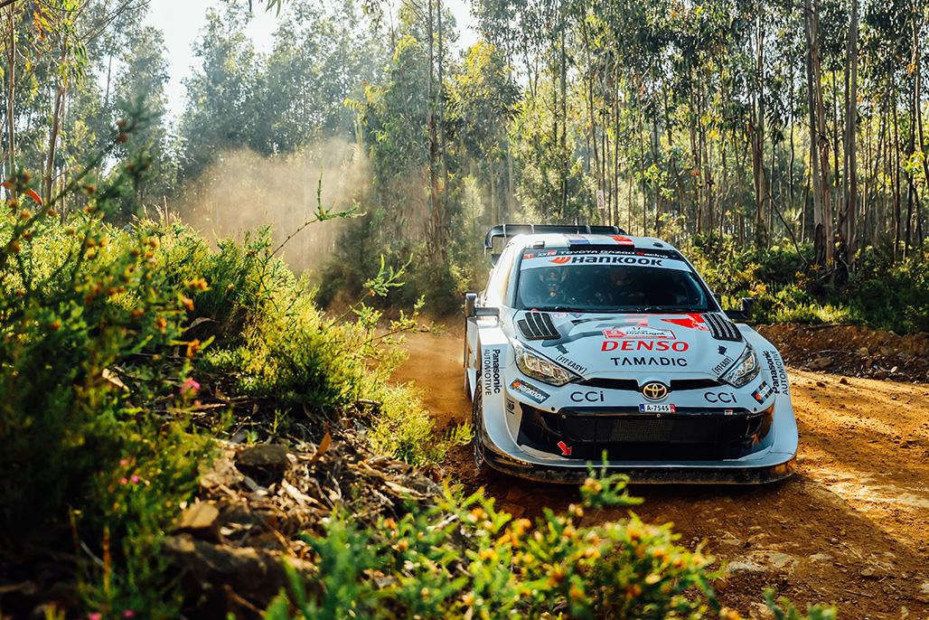 Car 17 (Sébastien Ogier, Vincent Landais)