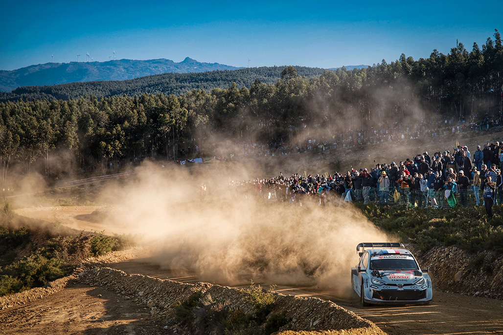 Car 17 (Sébastien Ogier, Vincent Landais)