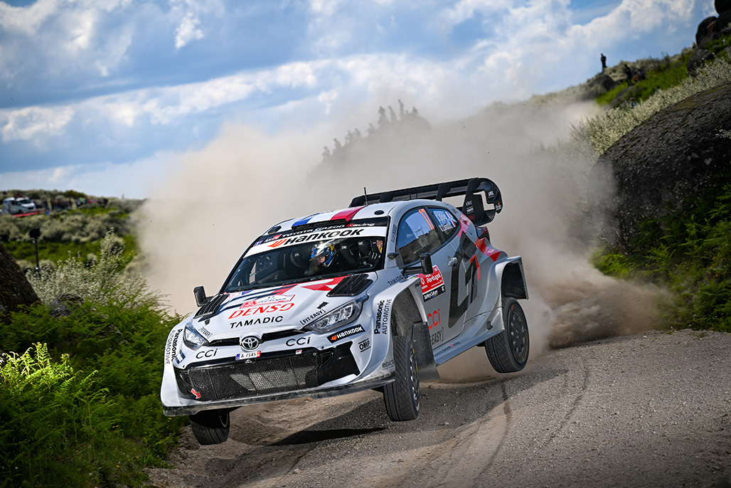 Car 17 (Sébastien Ogier, Vincent Landais)