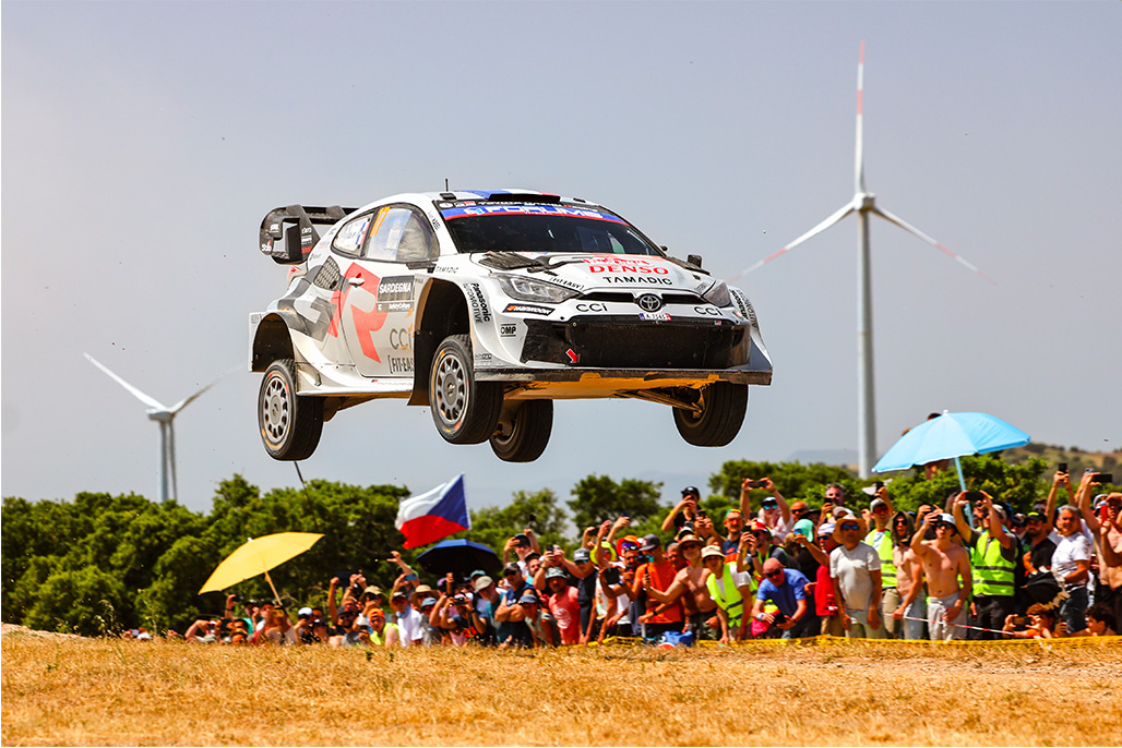 Car 17 (Sébastien Ogier, Vincent Landais)
