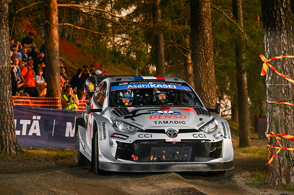 Car 17 (Sébastien Ogier, Vincent Landais)