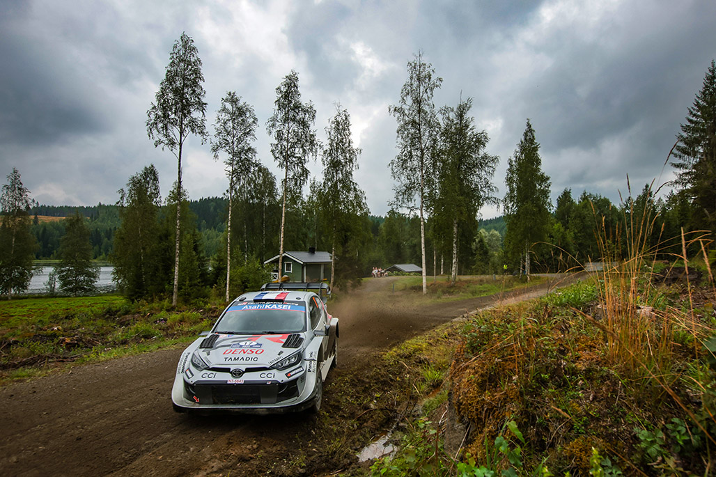 Car 17 (Sébastien Ogier, Vincent Landais)