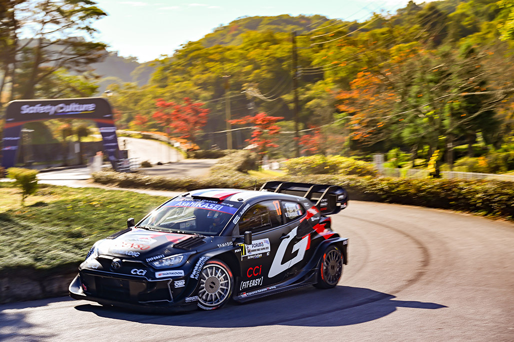 Car 17 (Sébastien Ogier, Vincent Landais)