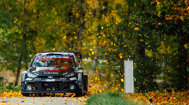 WRC 2025 Rd.13 Rally Japan: Preview