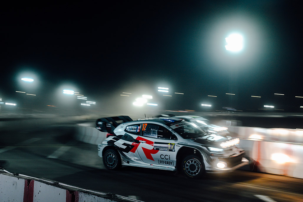 Car 17 (Sébastien Ogier, Vincent Landais)