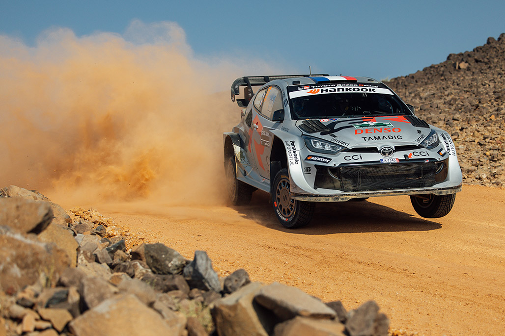 Car 17 (Sébastien Ogier, Vincent Landais)