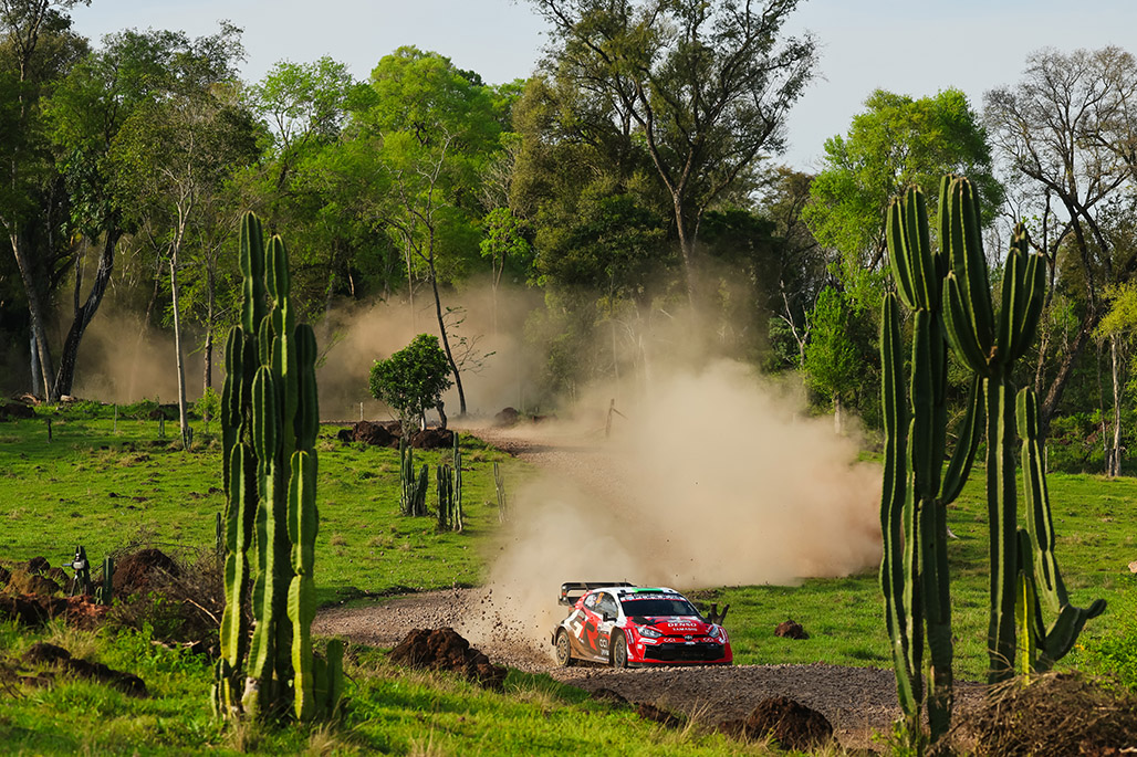 Car 33 (Elfyn Evans, Scott Martin)