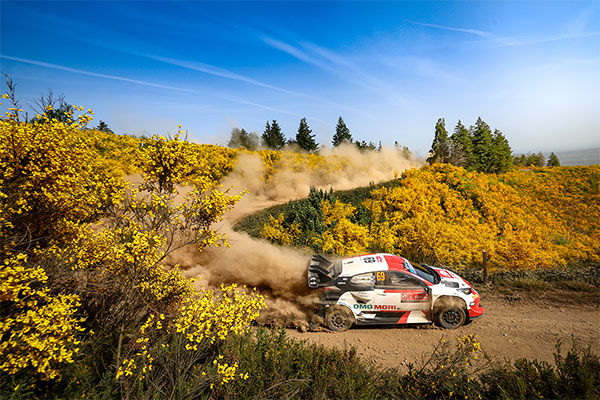 WRC 2022 ROUND 4 RALLY DE PORTUGAL DAY2