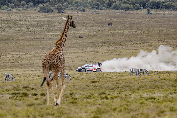 WRC 2022 ROUND 6 SAFARI RALLY KENYA DAY4