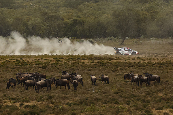 WRC 2022 ROUND 6 SAFARI RALLY KENYA DAY4