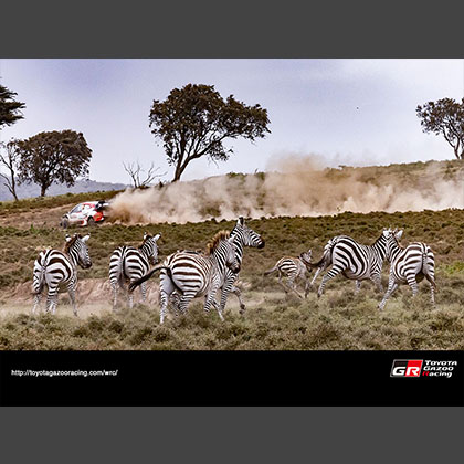 WRC 2022 ROUND 6 SAFARI RALLY KENYA Wallpaper