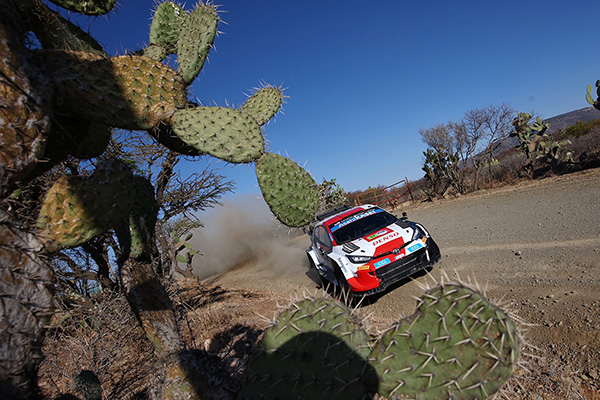 WRC 2023 ROUND 3 RALLY MÉXICO DAY3