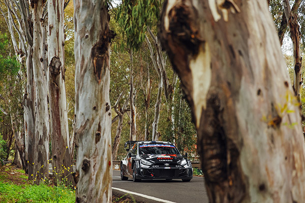 WRC 2025 ROUND 4 RALLY ISLAS CANARIAS DAY2