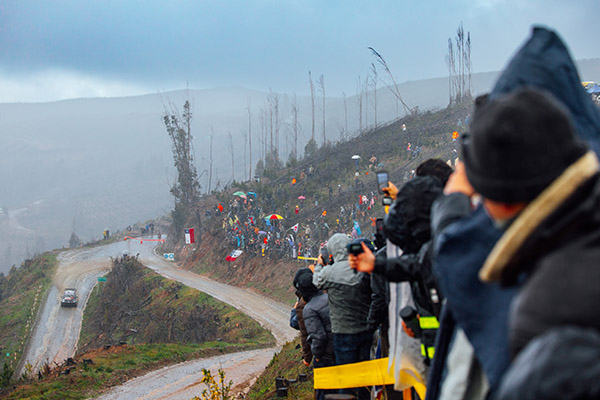 WRC 2025 ROUND 11 RALLY CHILE BIO BÍO DAY2