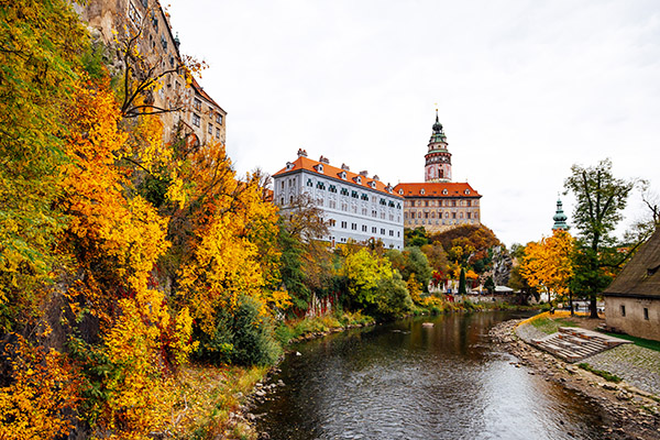 WRC 2025 ROUND 12 CENTRAL EUROPEAN RALLY DAY2