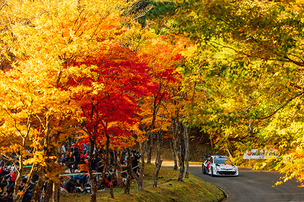 WRC 2025 ROUND 13 RALLY JAPAN DAY2