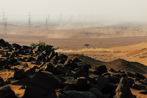 WRC 2025 ROUND 14 RALLY SAUDI ARABIA DAY2