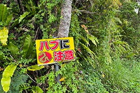 会場・人物