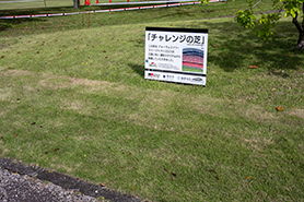 会場・人物