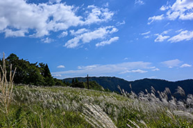 会場・人物