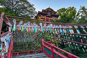 会場・人物