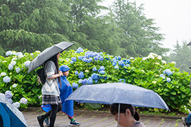 会場・人物