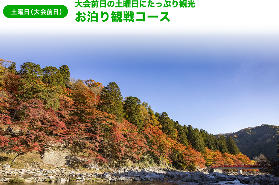 土曜日（大会前日）大会前日の土曜日にたっぷり観光 お泊り観戦コース