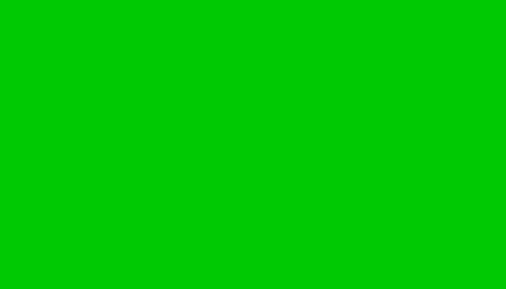 グリーンフラッグ(緑旗)