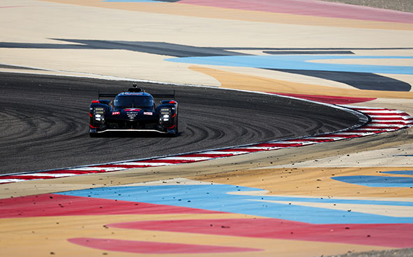 WEC2025年シーズン第8戦 バーレーン8時間 プレビュー TOYO...