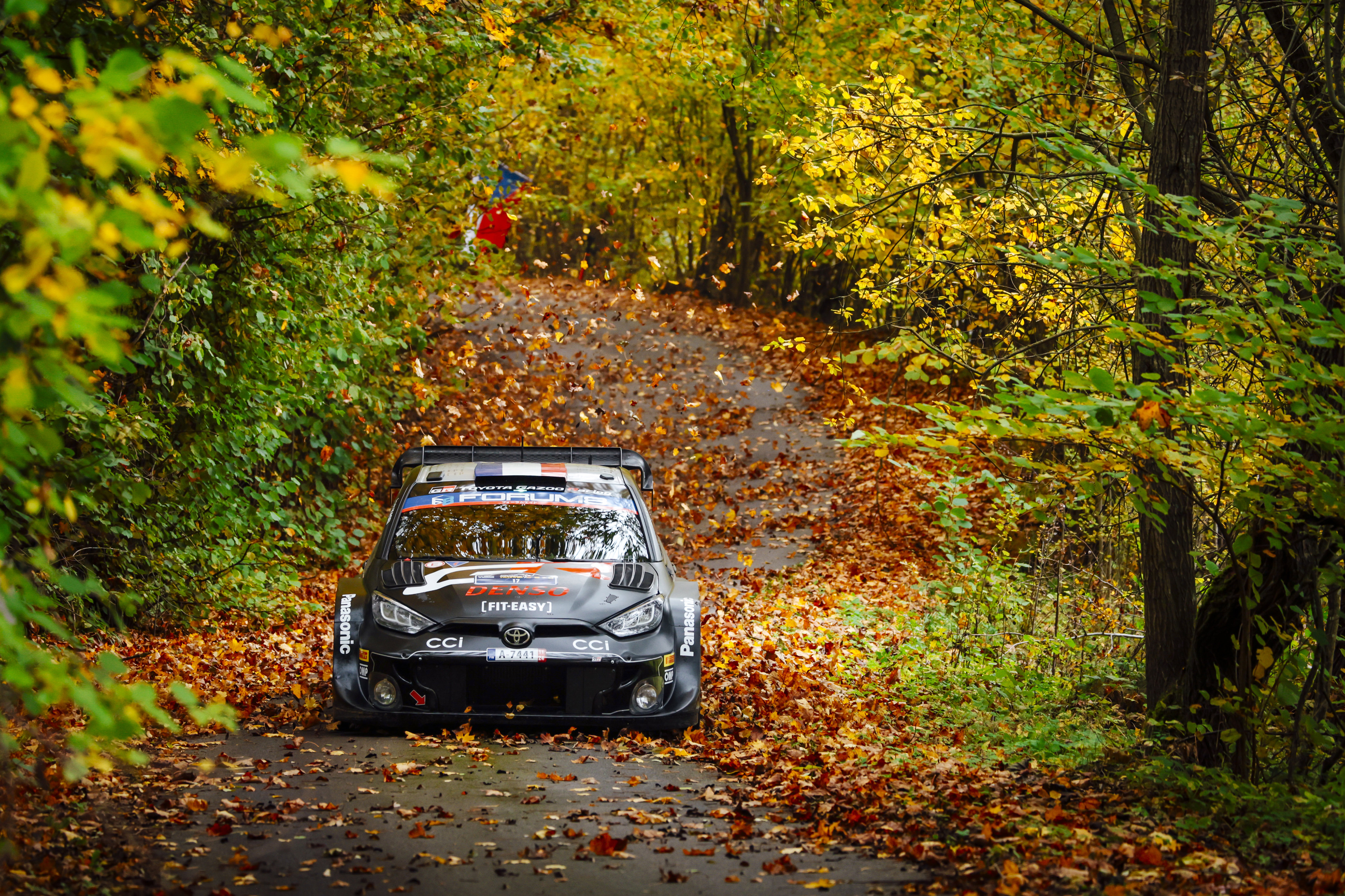 WRC 2024 Rd.12 デイ2 | 2024 | プレスリリース | WRC - FIA