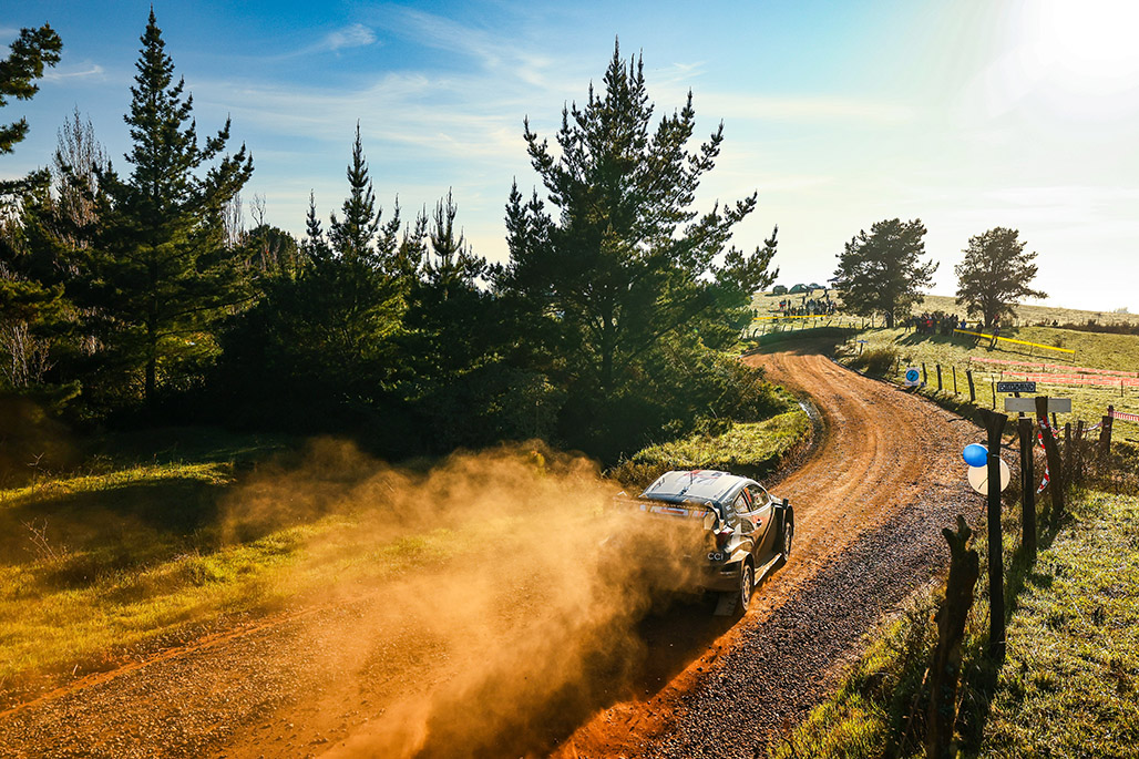 17号車（セバスチャン・オジエ、ヴァンサン・ランデ）