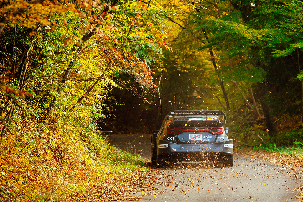 33号車（エルフィン・エバンス、スコット・マーティン）