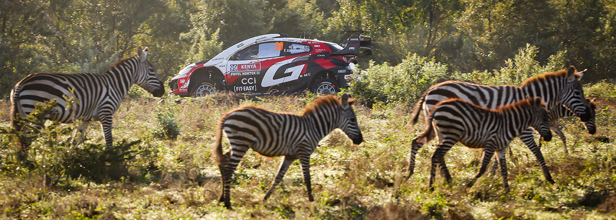 WRC 2026　第3戦　サファリ・ラリー・ケニア　デイ1