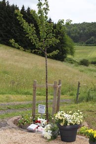 成瀬さんが逝ったのが2010年の6月23日。一周忌はニュルブルクリンク24時間レース開催の前日。だから大勢の人達が訪れ、記念樹は華やかになりました。