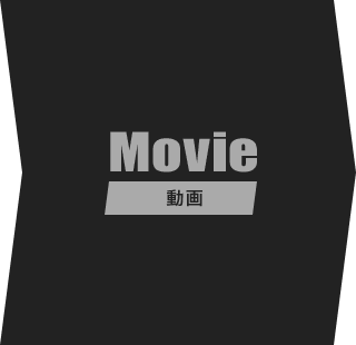 Movie [動画] 
