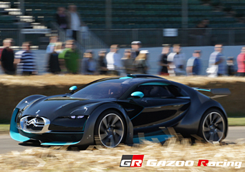 CITROEN SURVOLT