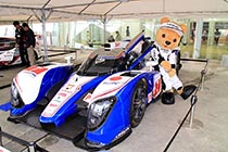 レクサス くま吉 TS030に腰掛ける