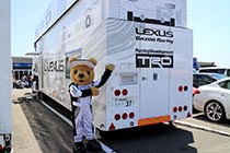 レクサス くま吉　LEXUS Racingのトラポンの後ろでポーズ
